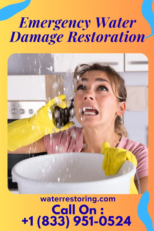 Emergency Water Damage Restoration in Chatom, AL